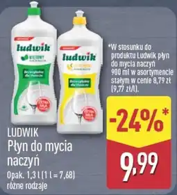 ALDI Ludwik Płyn do mycia naczyń oferta
