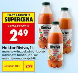 Biedronka Nektar Riviva oferta