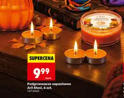 Biedronka Podgrzewacze zapachowe Aril Maxi oferta