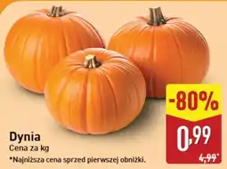 ALDI Dynia oferta