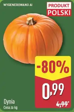 ALDI Dynia oferta