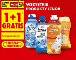 Biedronka Lenor oferta