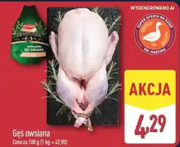 ALDI Gęś owsiana Drosed oferta