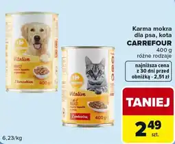 Carrefour Market Karma mokra dla psa, kota Carrefour oferta