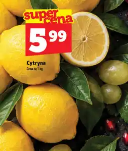 Topaz Express Cytryna oferta