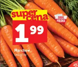 Topaz Express Marchew oferta