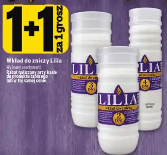 Wkład do zniczy Lilia