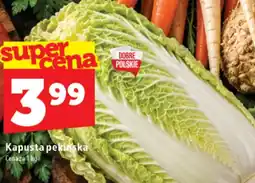 Topaz Express Kapusta pekińska oferta