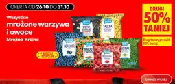 Biedronka Mroźna Kraina mrożone warzywa i owoce oferta