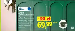 Lidl Girlanda lub wieniec świąteczny oferta