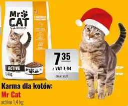 Eurocash Karma dla kotów: Mr Cat active oferta