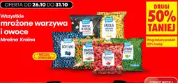 Biedronka Wszystkie mrożone warzywa i owoce Mroźna Kraina oferta