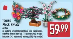 ALDI TOYLINO Klocki kwiaty oferta
