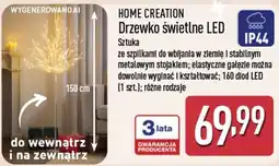 ALDI Home Creation Drzewko świetlne LED oferta
