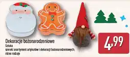 ALDI Dekoracje bożonarodzeniowe oferta