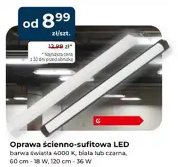 Mrówka Oprawa ścianno-sufitowa LED oferta