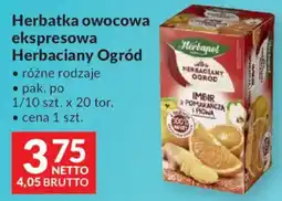 Makro Herbatka owocowa ekspresowa Herbacyjany Ogród oferta