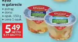 Makro Drosed Ryba w galarecie oferta