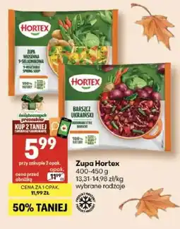 Delikatesy Centrum Zupa wiosenna 9-składnikowa Hortex oferta
