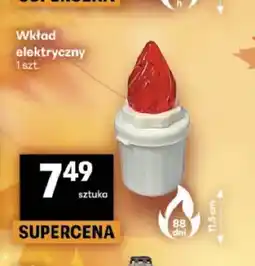 Delikatesy Centrum Wkład elektryczny oferta