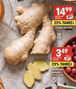 Delikatesy Centrum Imbir korzeń oferta
