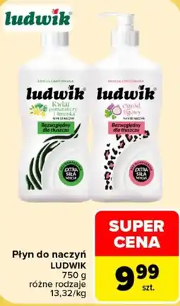 Carrefour Płyn do naczyń Ludwik oferta