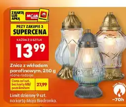 Biedronka Znicz Biedronka oferta