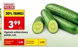 Biedronka Ogórek Polski oferta