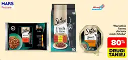 Carrefour Karma dla kota Sheba oferta