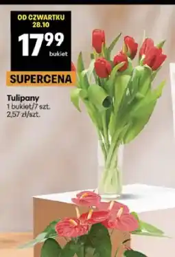 Delikatesy Centrum Tulipany oferta