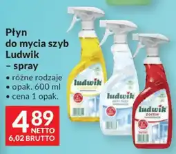 Makro Płyn do mycia szyb Ludwik - spray oferta
