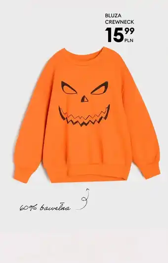 Bluza Crewneck
