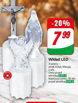 Dino Wkład LED oferta