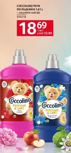 Selgros Coccolino Płyn do Płukania oferta