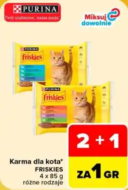 Carrefour Karma dla kota FRISKIES oferta