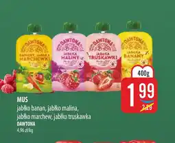 MOKPOL Truskawki Dawtona oferta