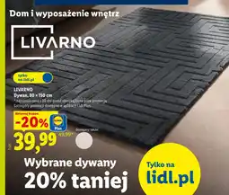 Lidl Dywan Livarno oferta
