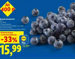 Lidl Borówki amerykańskie Plus-Plus oferta