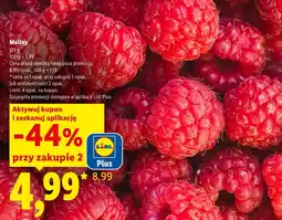 Lidl Maliny Plus-Plus oferta