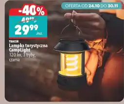 Biedronka Lampka Tracer oferta