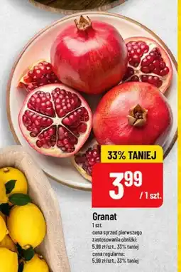 Polomarket Granat oferta