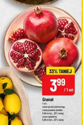 Polomarket Granat oferta