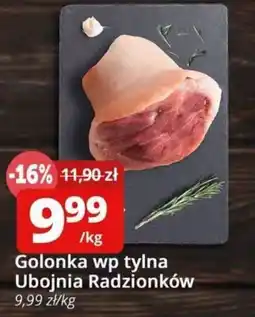 Szyneczka Golonka wp tylna Ubojnia Radzionków oferta