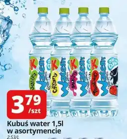 Szyneczka Kubuś water oferta