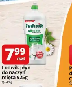 Szyneczka Ludwik płyn do naczyń mięta oferta