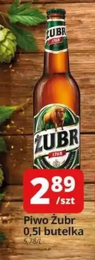 Szyneczka Piwo Żubr oferta