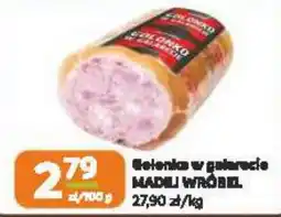 Jaskółka Golonka w galarecie MADLI WRÓBEL oferta