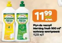 Jaskółka Myn dla naczyń Morning Fresh oferta