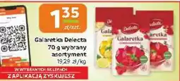 Jaskółka Galaretka Delecta oferta