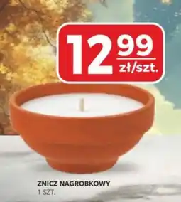 Top Market PSS Zgoda Znicz Nagrobkowy oferta